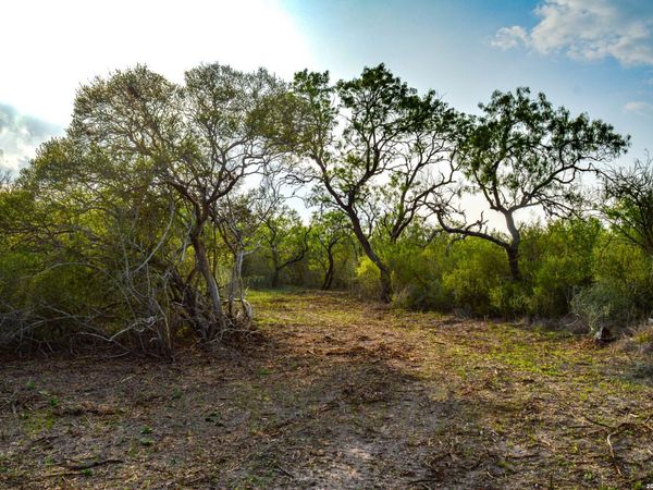 0 Cr 207, Tuleta, TX 78146
