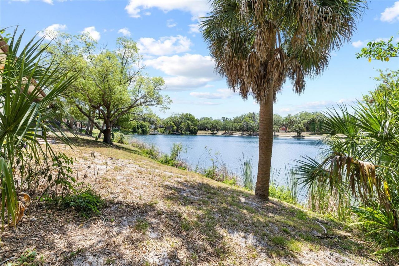 7415 Lake Forest Circle, Port Richey, FL 34668 Photo