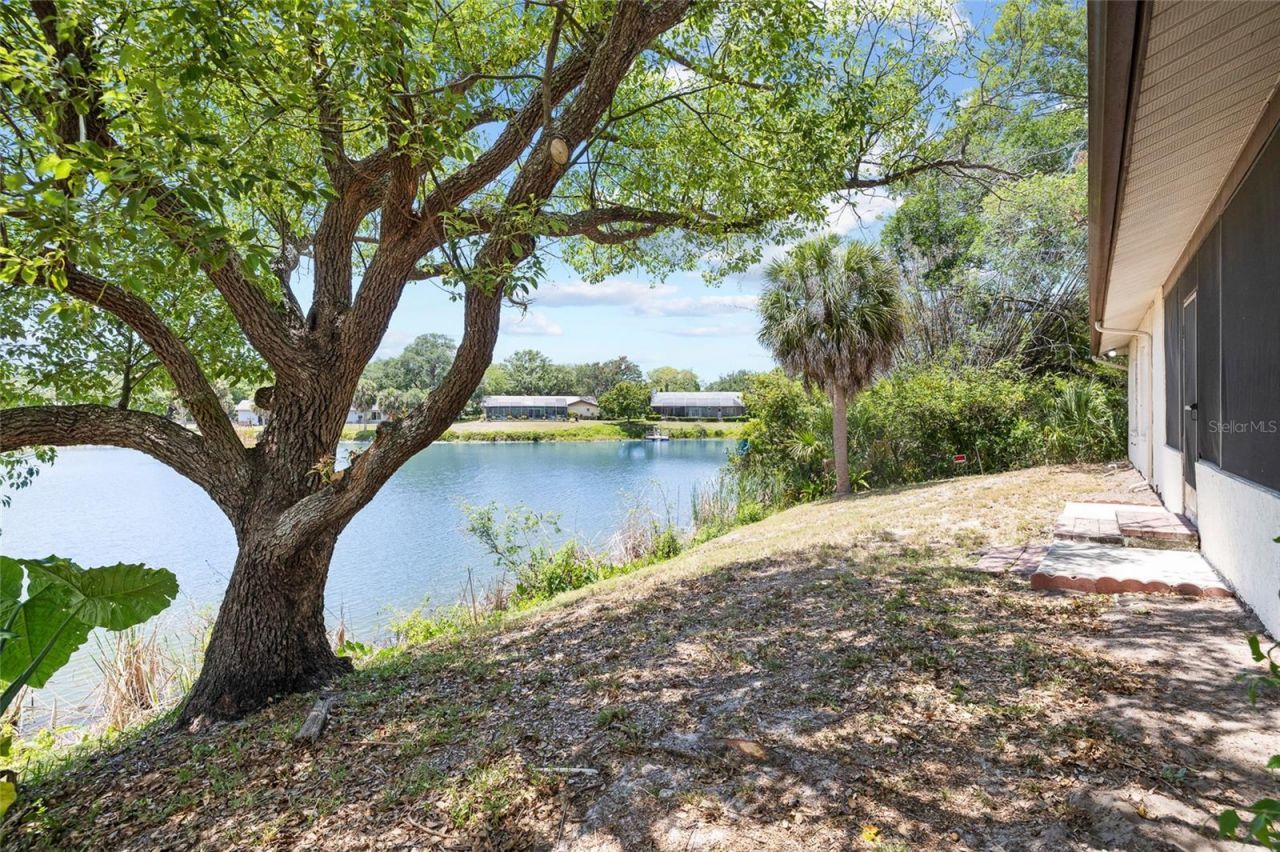 7415 Lake Forest Circle, Port Richey, FL 34668 Photo