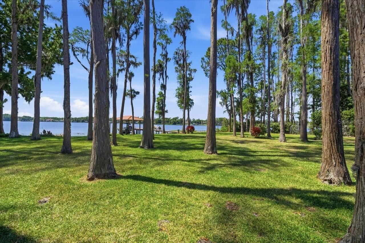 18258 Wayne Road, Odessa, FL 33556 Photo