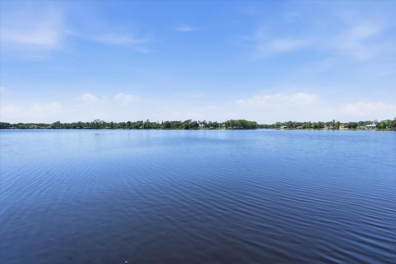 18258 Wayne Road, Odessa, FL 33556 Photo