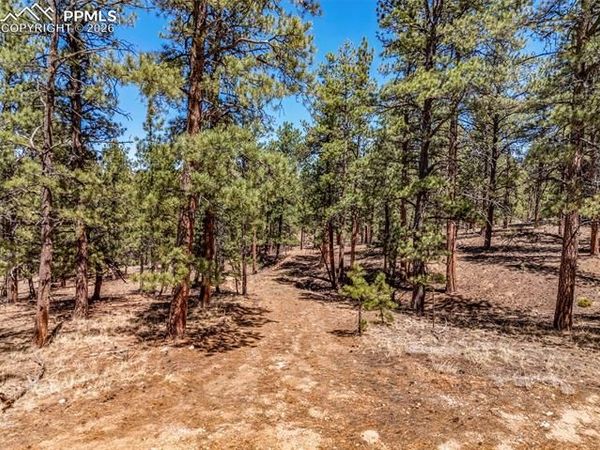 185 Sioux Trail, Westcliffe, CO 81252