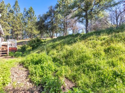 13890 Wilma Ct, Fiddletown, CA 95629 Photo