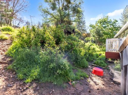 13890 Wilma Ct, Fiddletown, CA 95629 Photo