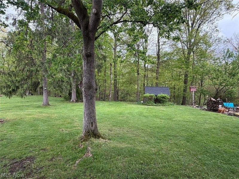 1034 N Pasadena Avenue , Elyria, OH 44035 Photo 4