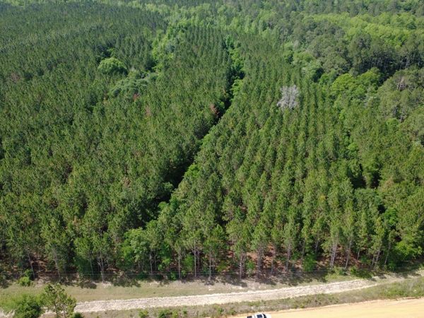 0 A L Reeve's Road, Fitzgerald, GA 31750