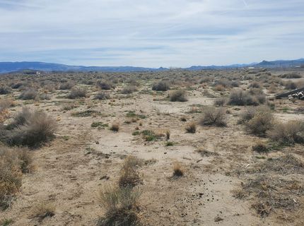 1795 E Spruce Avenue, Silver Springs, NV 89429 Photo