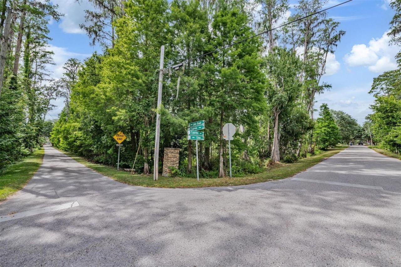 215 Lake Brant Drive , Lutz, FL 33548 Photo