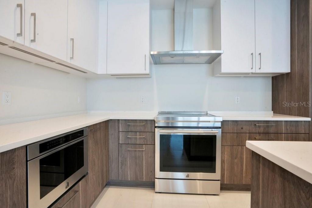 275 1st Avenue S, Unit 3808, Saint Petersburg, FL 33701 Photo