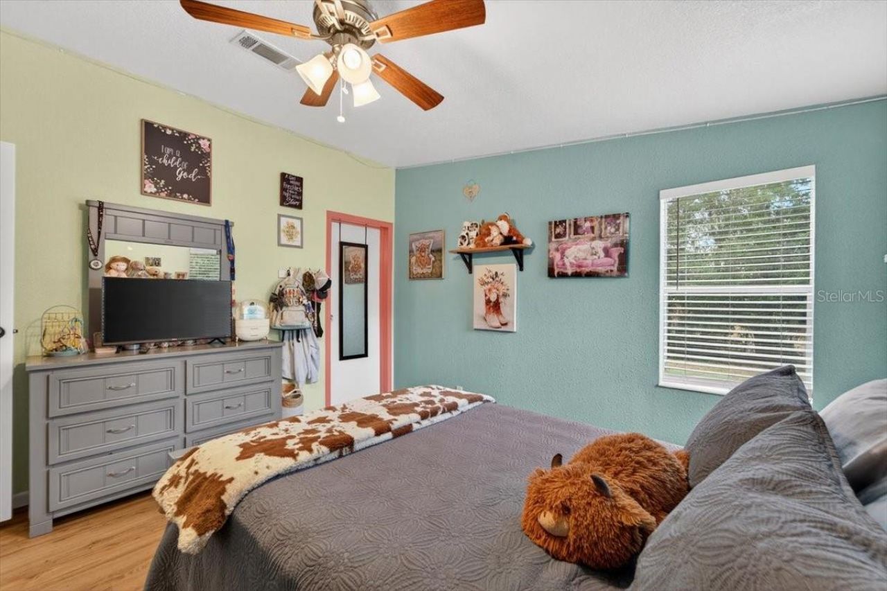 15623 Alderman Turner Road, Wimauma, FL 33598 Photo