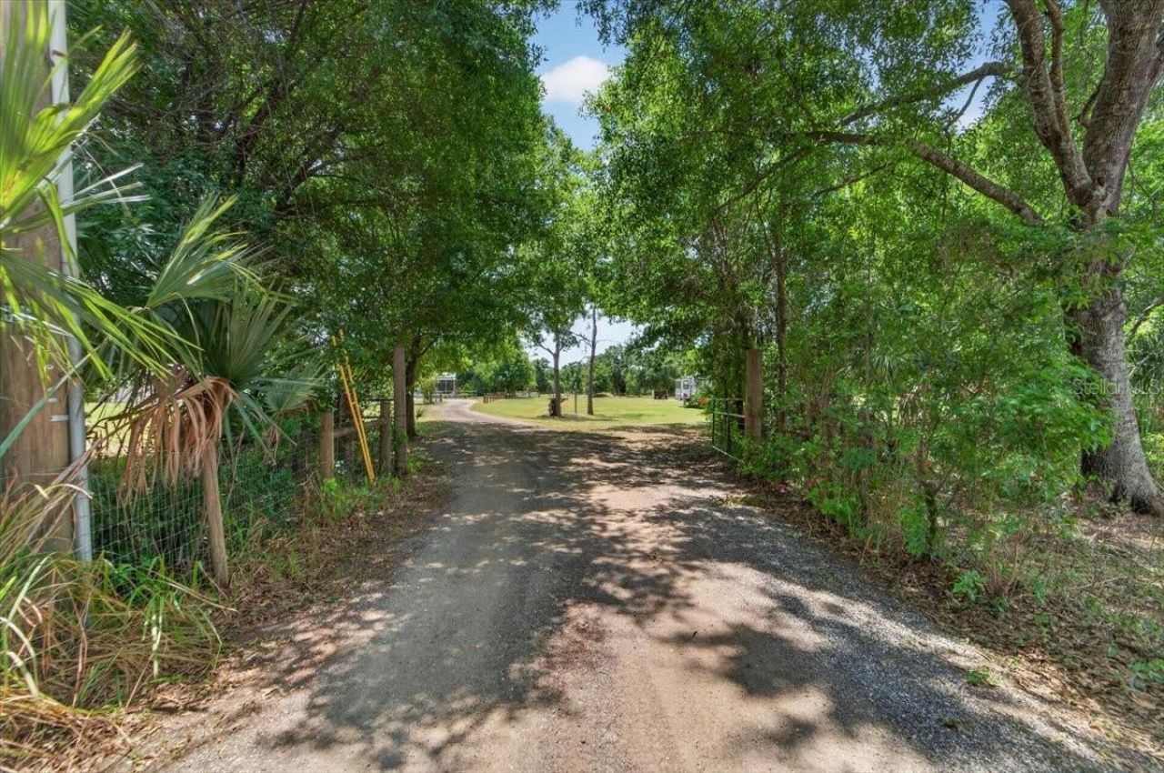 15623 Alderman Turner Road, Wimauma, FL 33598 Photo