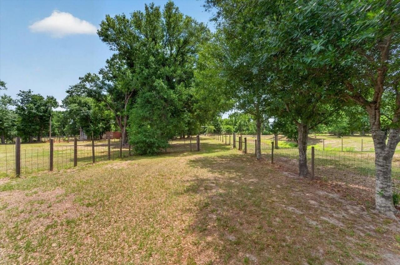 15623 Alderman Turner Road, Wimauma, FL 33598 Photo