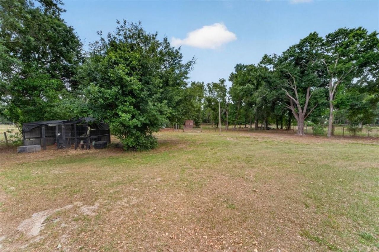15623 Alderman Turner Road, Wimauma, FL 33598 Photo