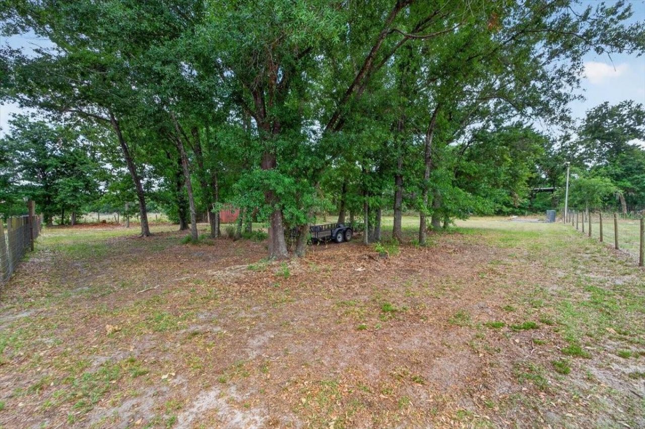 15623 Alderman Turner Road, Wimauma, FL 33598 Photo