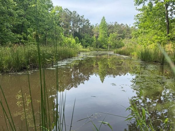 759 Hwy 9, Banner, MS 38913