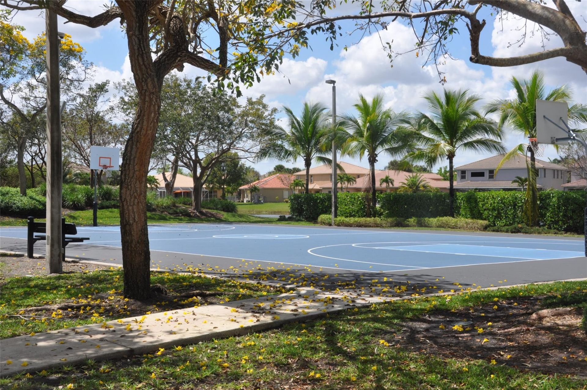 19496 S Whitewater Avenue, Weston, FL 33332 Photo