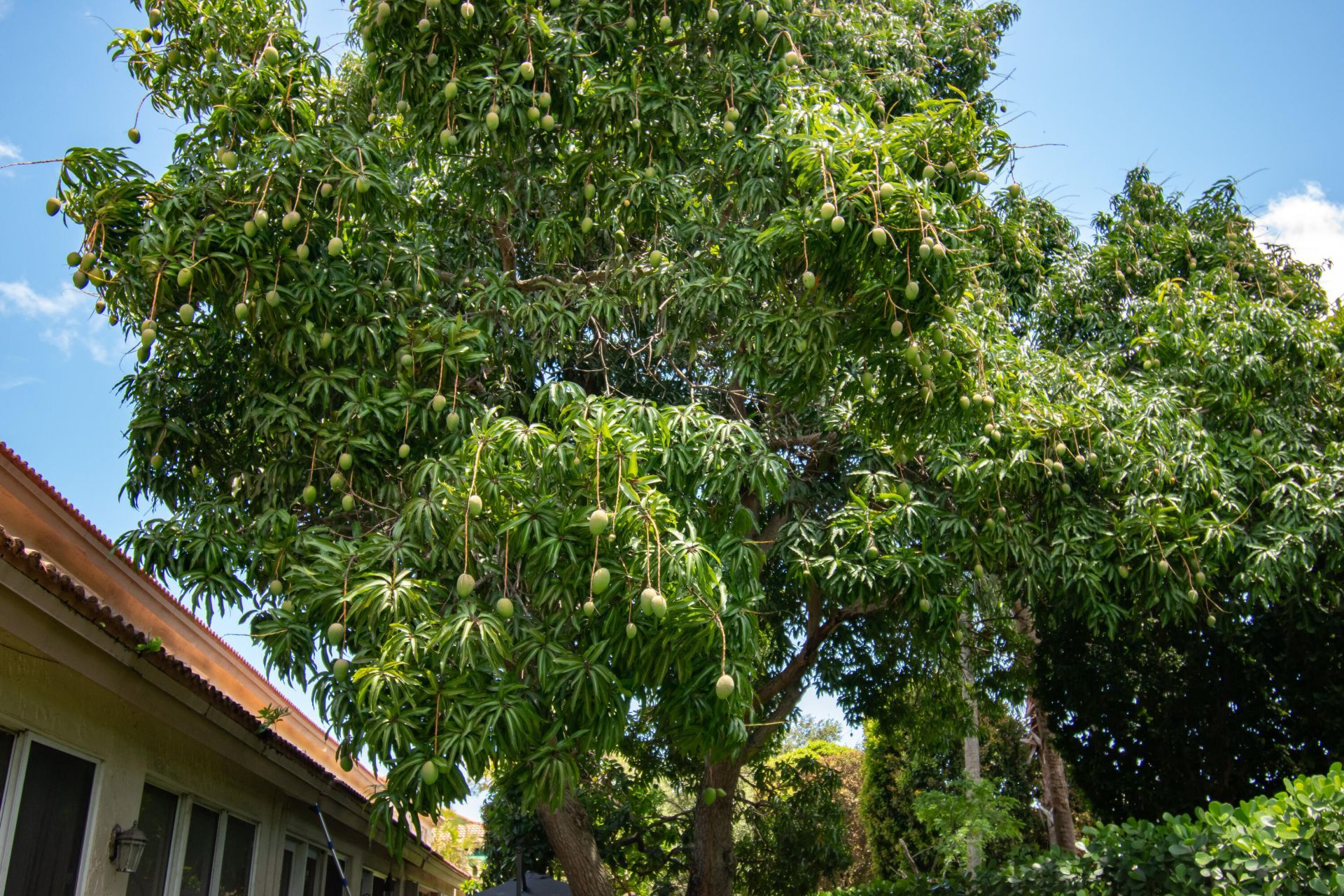 6744 Via Regina, Boca Raton, FL 33433 Photo