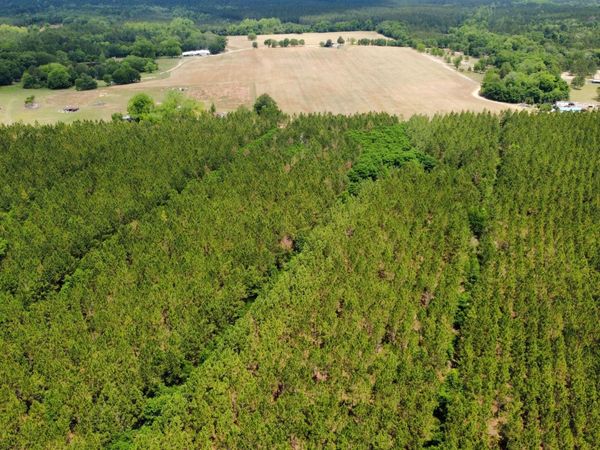 0 Sunflower Road, Fitzgerald, GA 31750