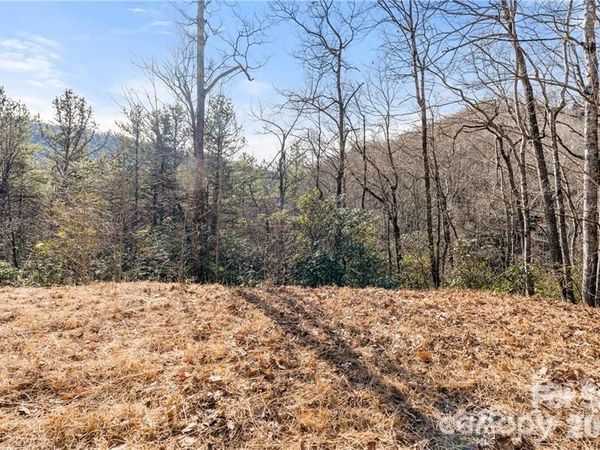 28 Trillium Lane , Black Mountain, NC 28711