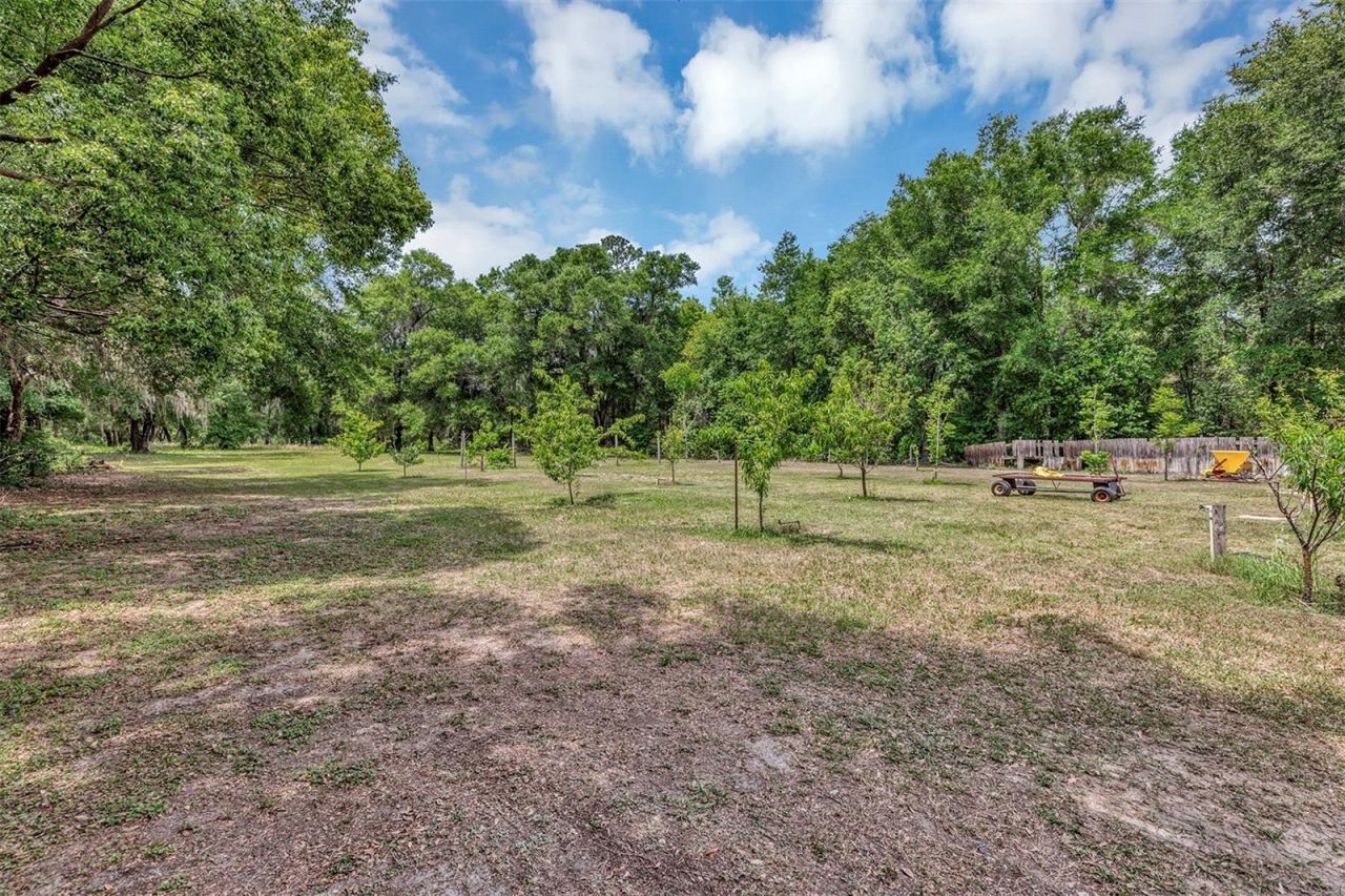 1124 Ustler Road, Apopka, FL 32712 Photo