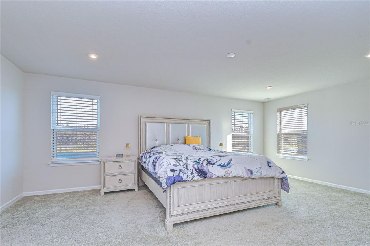 10422 Gliding Eagle Way, Land O Lakes, FL 34638 Photo