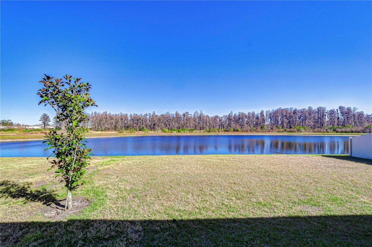 10422 Gliding Eagle Way, Land O Lakes, FL 34638 Photo