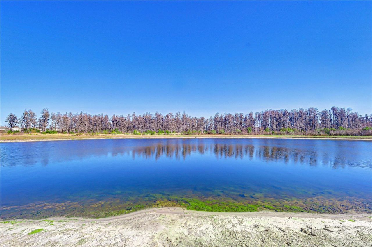 10422 Gliding Eagle Way, Land O Lakes, FL 34638 Photo