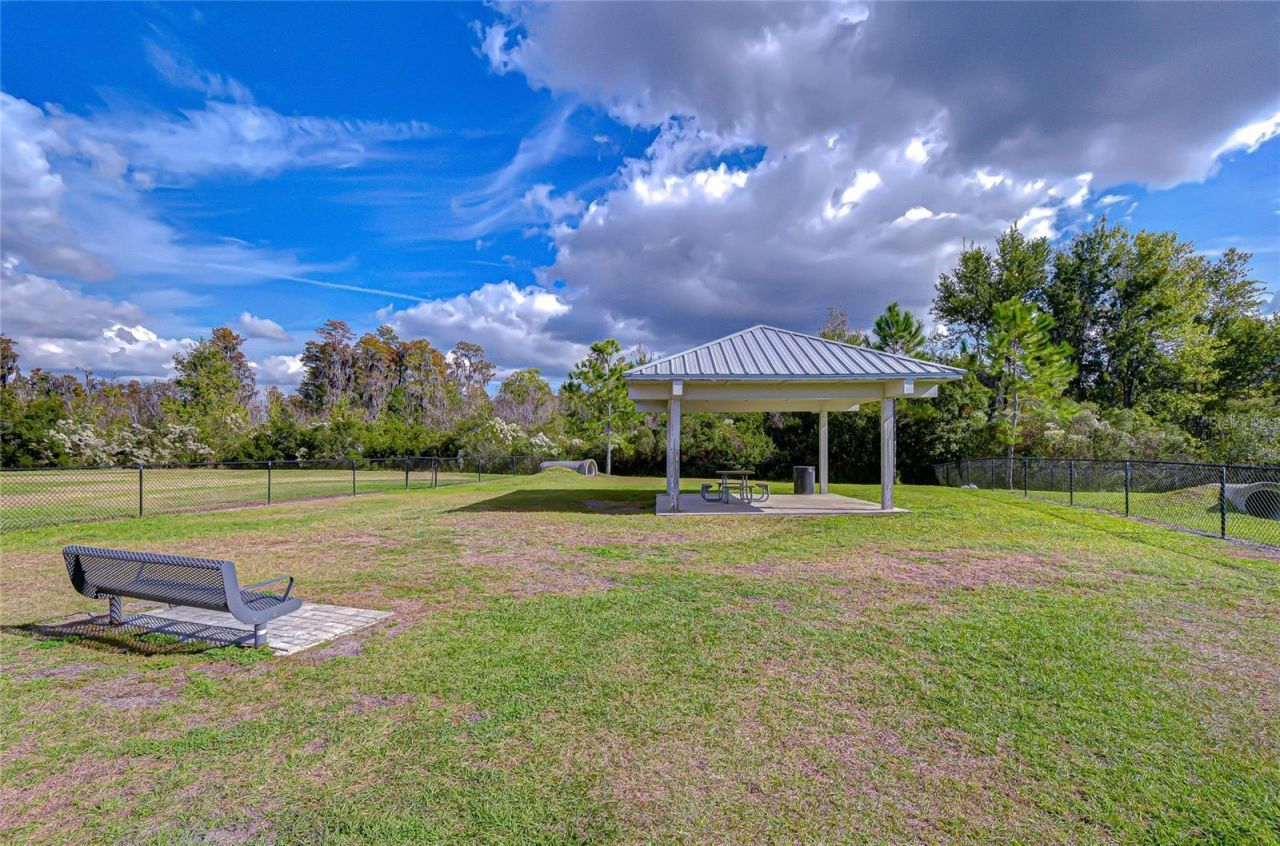10422 Gliding Eagle Way, Land O Lakes, FL 34638 Photo