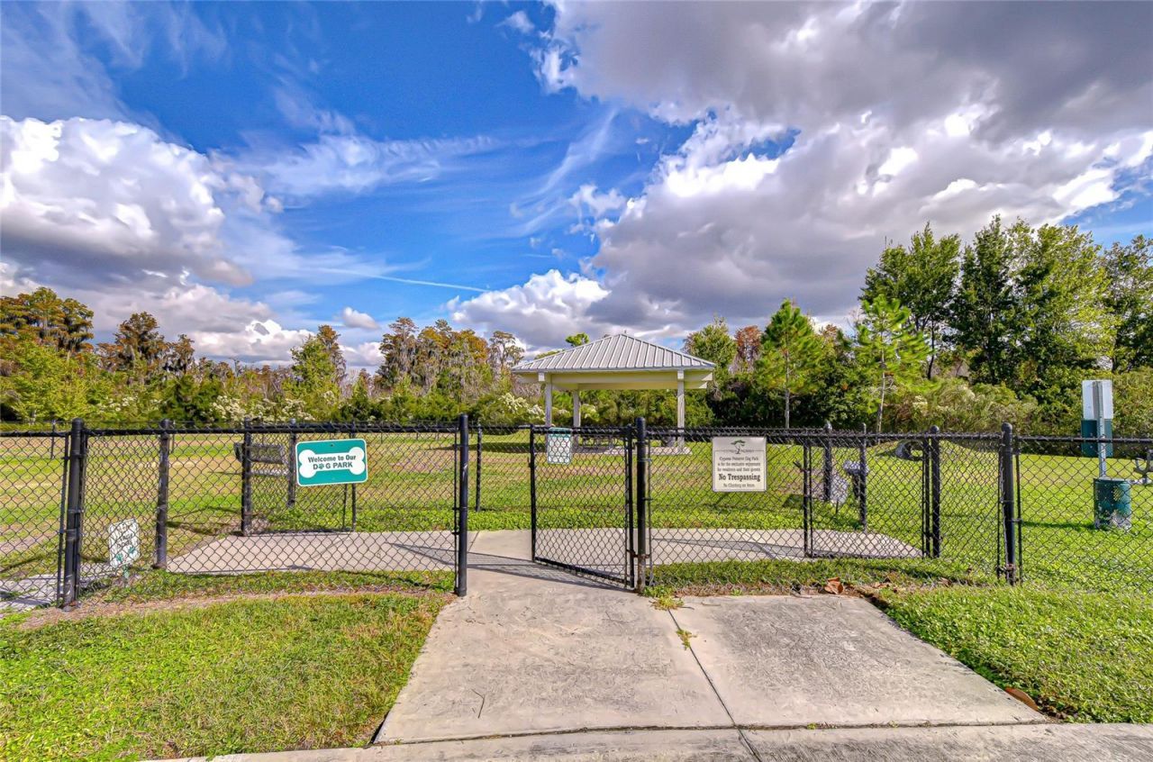 10422 Gliding Eagle Way, Land O Lakes, FL 34638 Photo