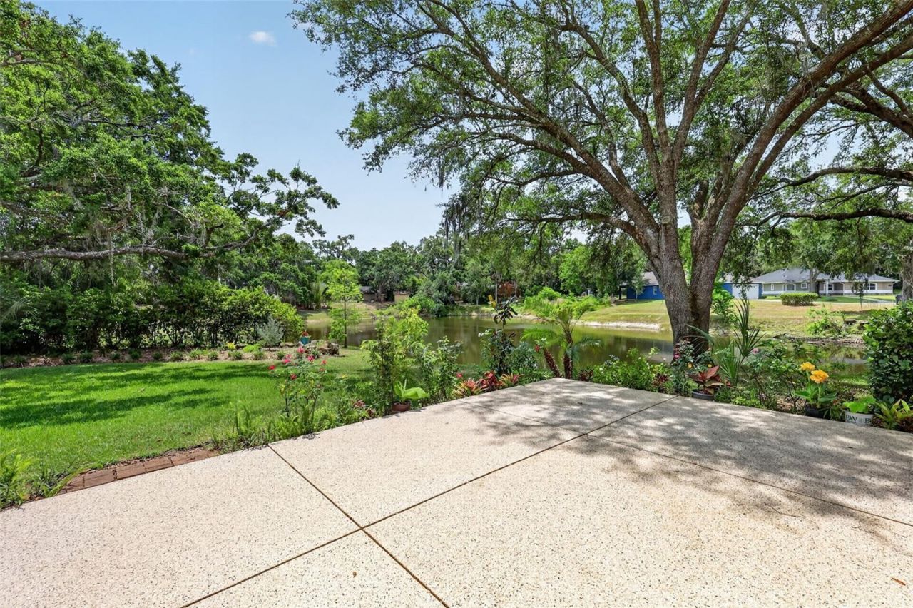 33746 Spring Drive, Leesburg, FL 34788 Photo