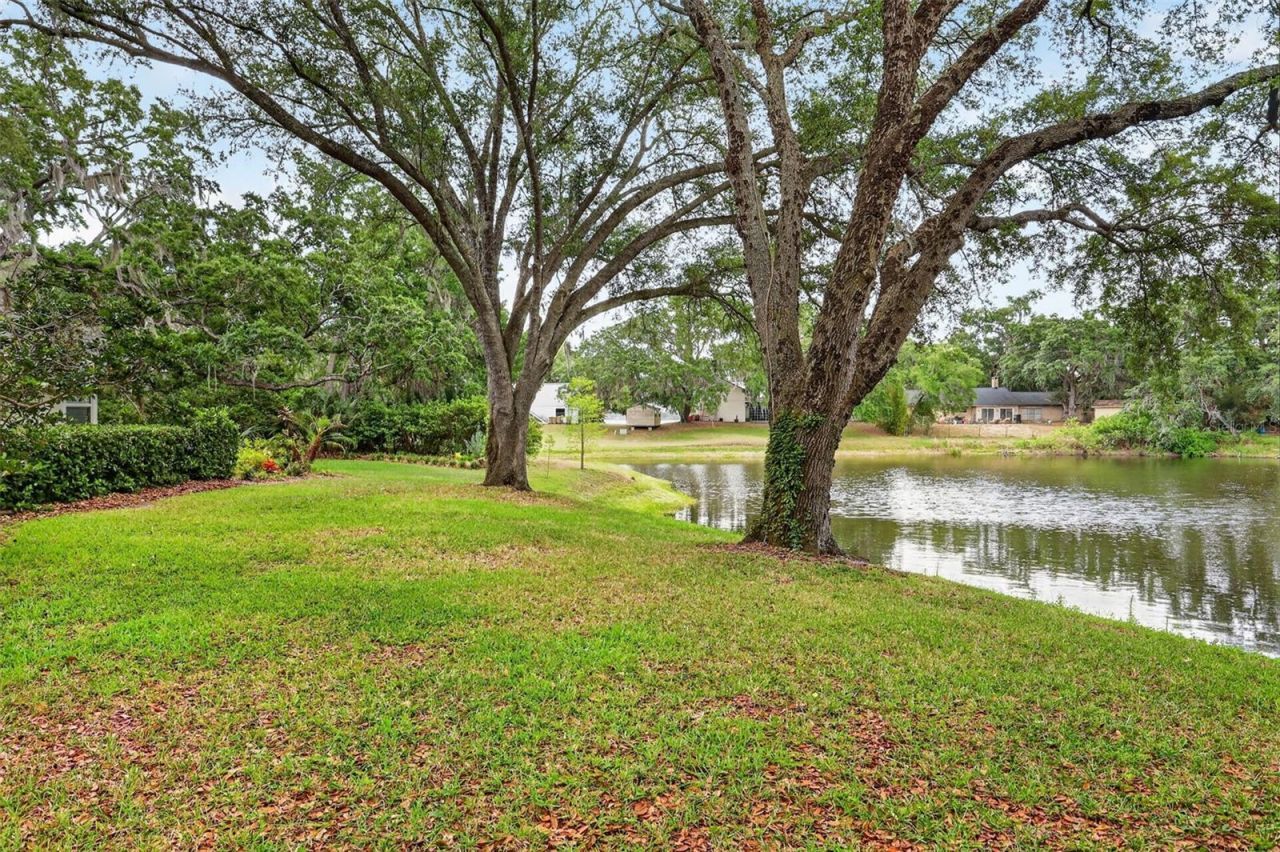 33746 Spring Drive, Leesburg, FL 34788 Photo