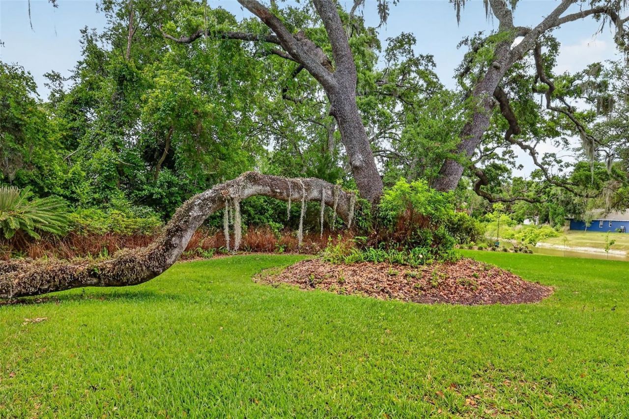 33746 Spring Drive, Leesburg, FL 34788 Photo
