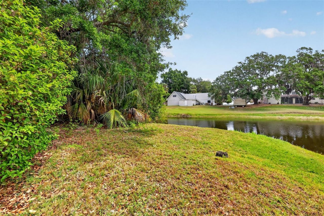 33746 Spring Drive, Leesburg, FL 34788 Photo