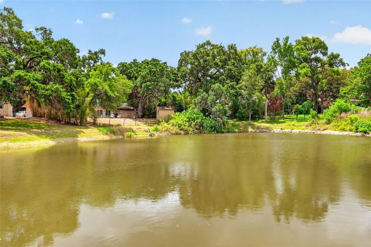 33746 Spring Drive, Leesburg, FL 34788 Photo
