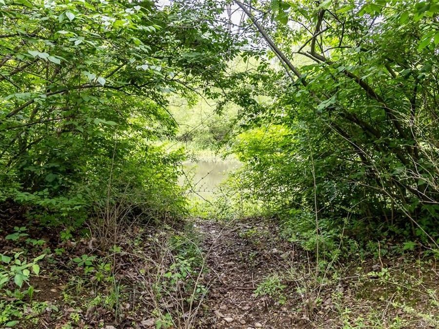 Property Image 100
