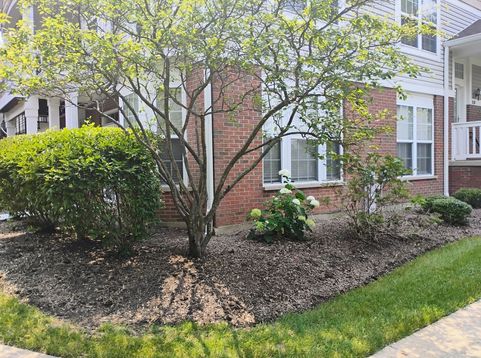 Main Photo