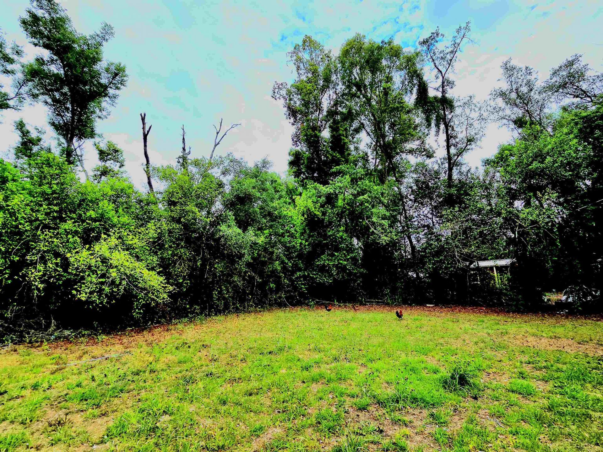 906 N Veterans Drive, Perry, FL 32347 Photo