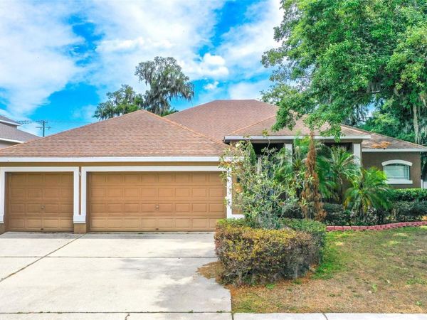 2539 CENTENNIAL FALCON DRIVE , VALRICO, FL 33596