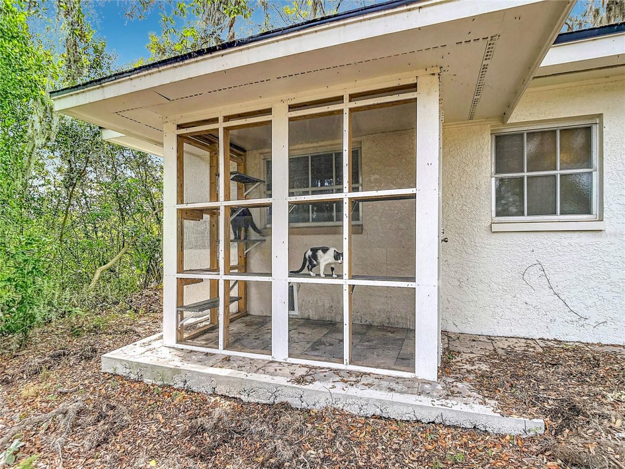 5433 Front Drive , Holiday, FL 34690 Photo