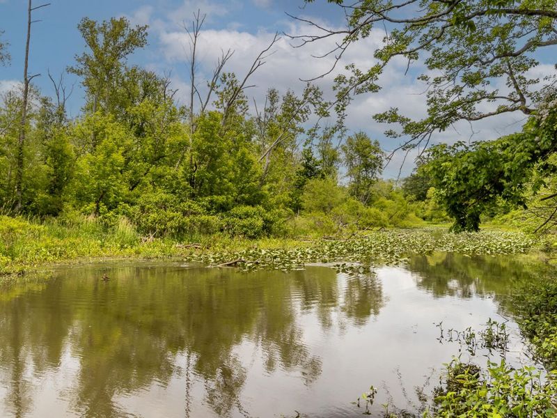 6350 Arcanum Bears Mill Road, Greenville, OH 45331 Photo 97