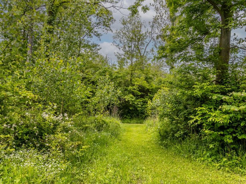 6350 Arcanum Bears Mill Road, Greenville, OH 45331 Photo 98