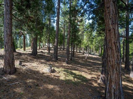 20 South Ridge Road, Portola, CA 96122 Photo