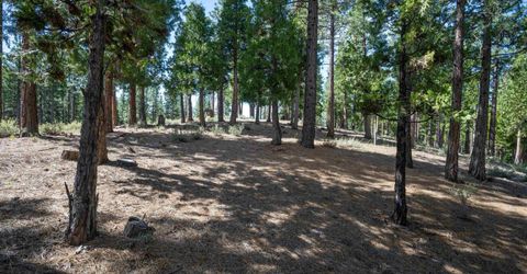 20 South Ridge Road, Portola, CA 96122 Photo