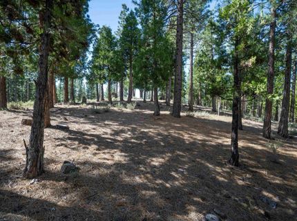 20 South Ridge Road, Portola, CA 96122 Photo