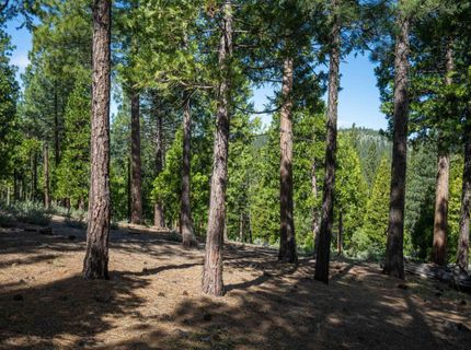 20 South Ridge Road, Portola, CA 96122 Photo