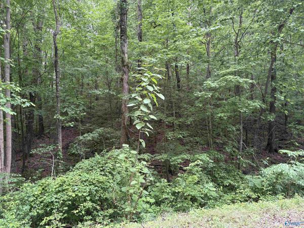 1.84ac Wilhite Road, Falkville, AL 35622