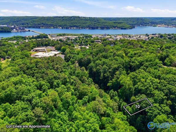 Lot 10 Lusk Street, Guntersville, AL 35976