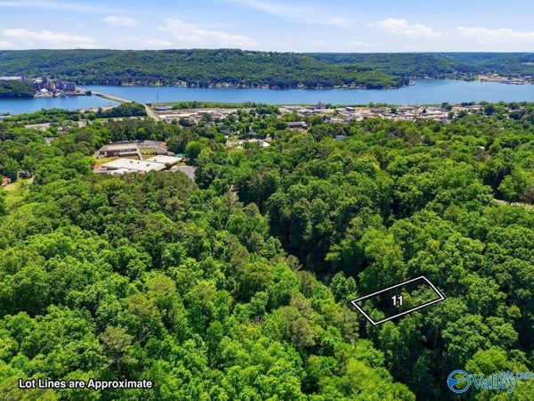Lot 11 Lusk Street, Guntersville, AL 35976
