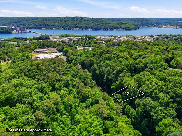 Lot 12 Lusk Street, Guntersville, AL 35976