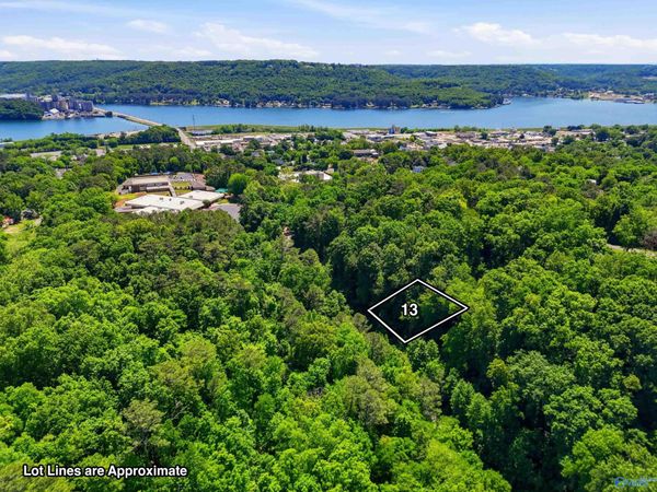 Lot 13 Lusk Street, Guntersville, AL 35976